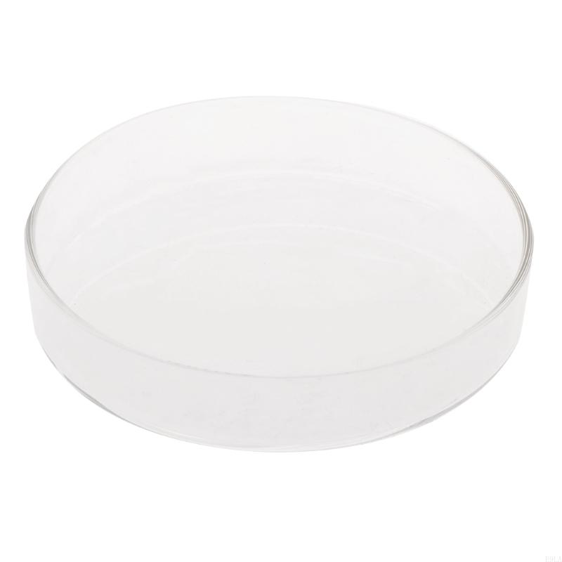 2025 New Shrimp Feeder Glass Feeding Dish Aquarium Fish for Tank Reptiles Round Clear Bowl 3.9" 3.5" 3.2" 2.6" 2.4"