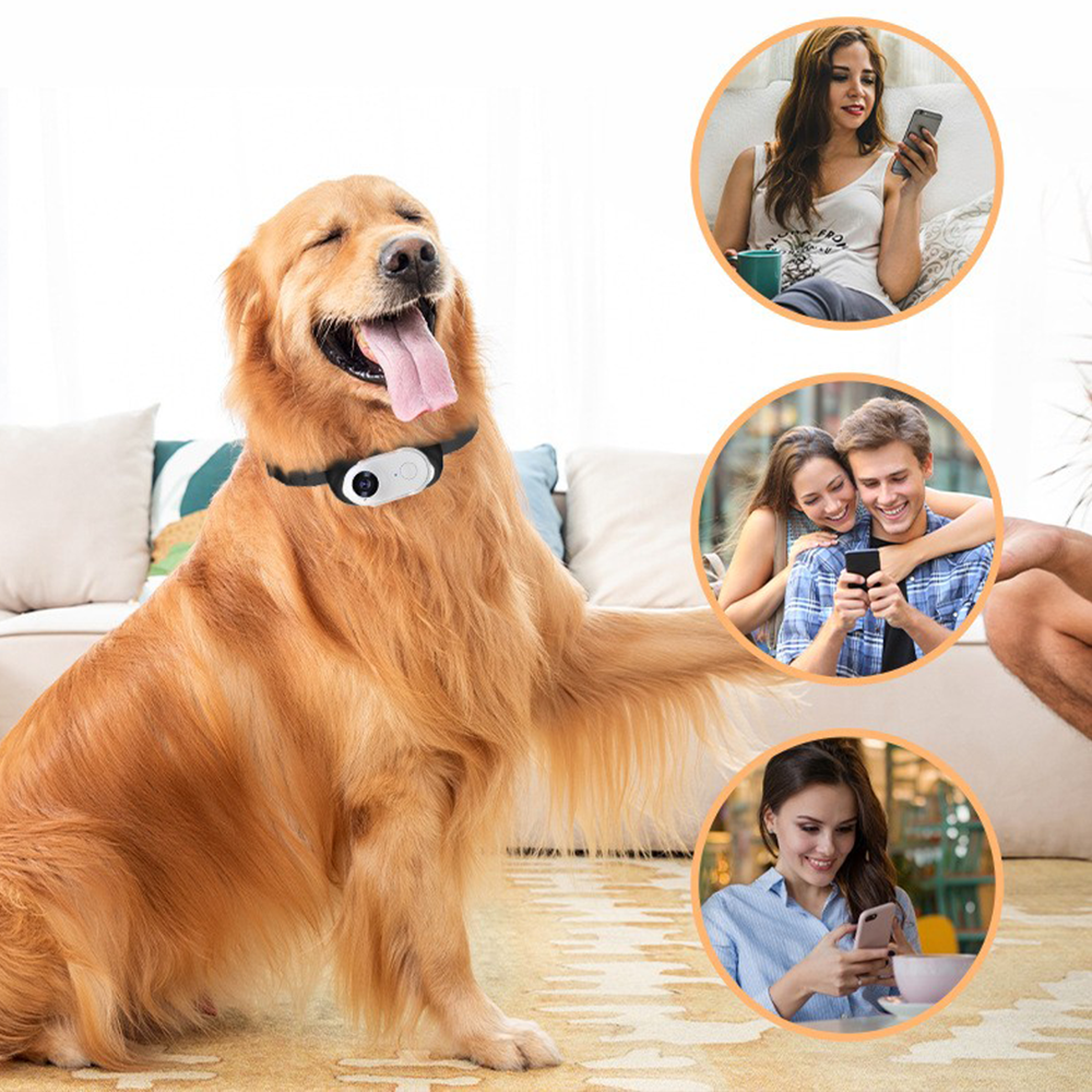Pet Collar Camera HD 1080P WiFi Lightweight Thumb Action Cam Cats Dogs Mini Sports Video Recorder Motion Detection Night Vision