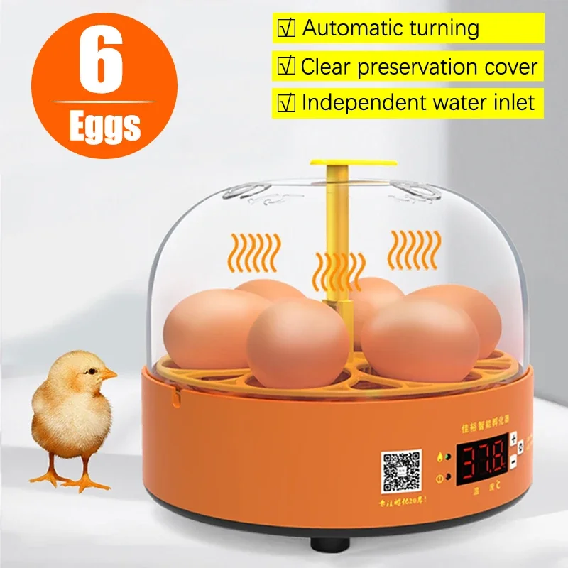 Mini Eggs Incubator for Chicken Goose Bird Quail Automatic Incubation Equipment Hatchery Incubation Tools 6 Eggs Turning Brooder