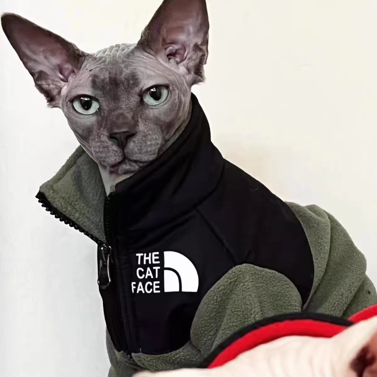 2025 new THE CAT FACE Sphynx Jacket Warm Thickened Fleece Sest Hairless Clothes with Zipper Cat Coat for Devon,Cornish, Peter Bald, Small Ki