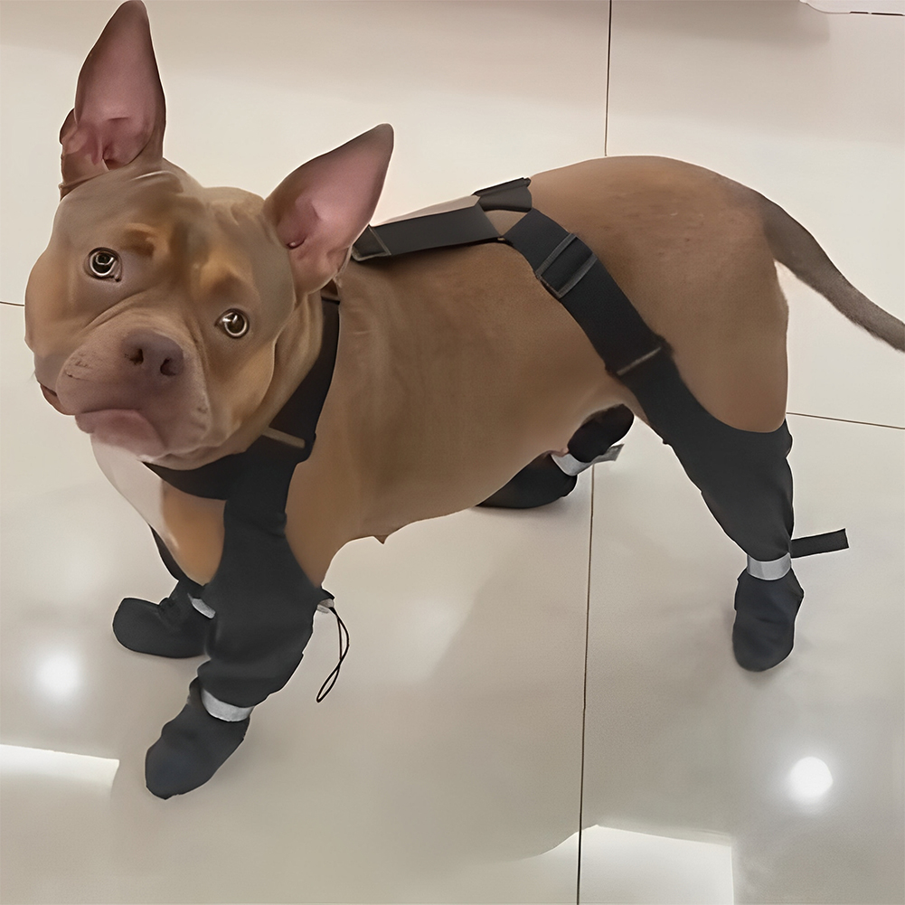 Outdoor Dog Suspender Booties Waterproof Non-Slip Dogs Shoes Ajustable Pet Socks Dog Leggings Outdoor Protector Pet Accessories