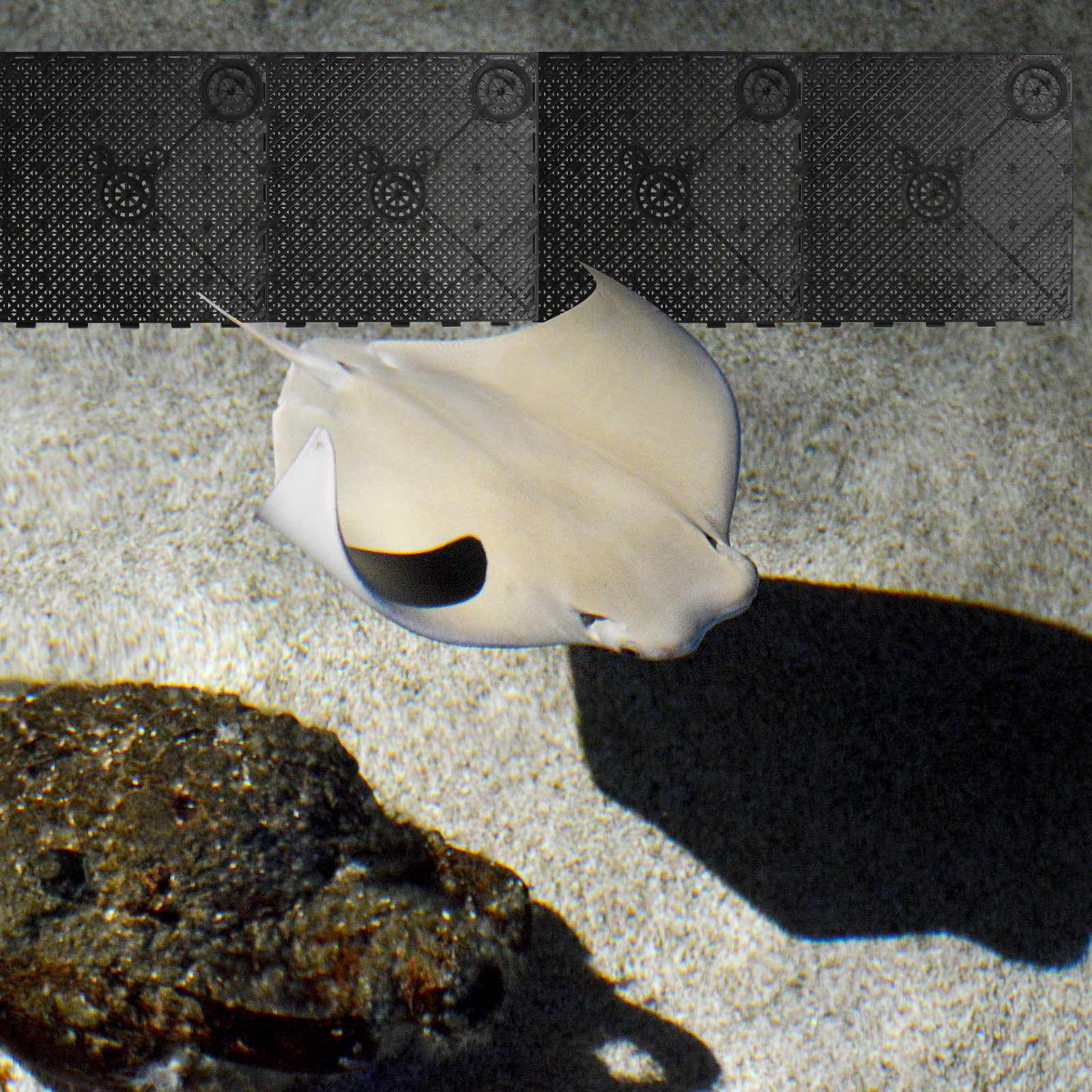 20 Pcs Isolation Filter Plate Fish Tank Aquarium Divider Bottom Filtration Tubes