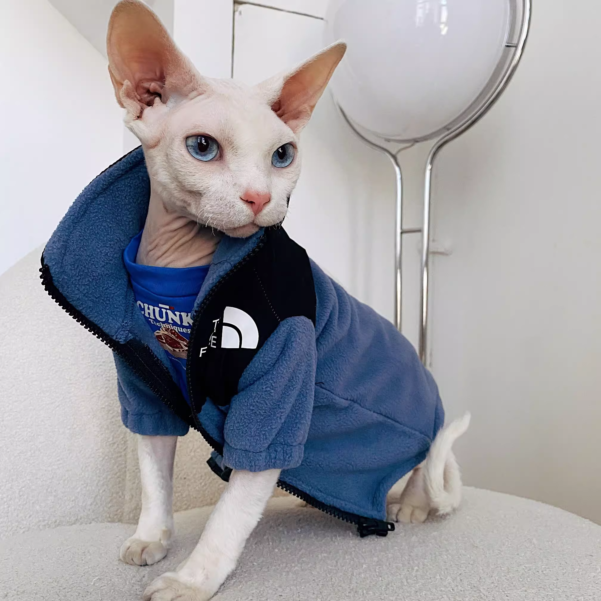 2025 new THE CAT FACE Sphynx Jacket Warm Thickened Fleece Sest Hairless Clothes with Zipper Cat Coat for Devon,Cornish, Peter Bald, Small Ki