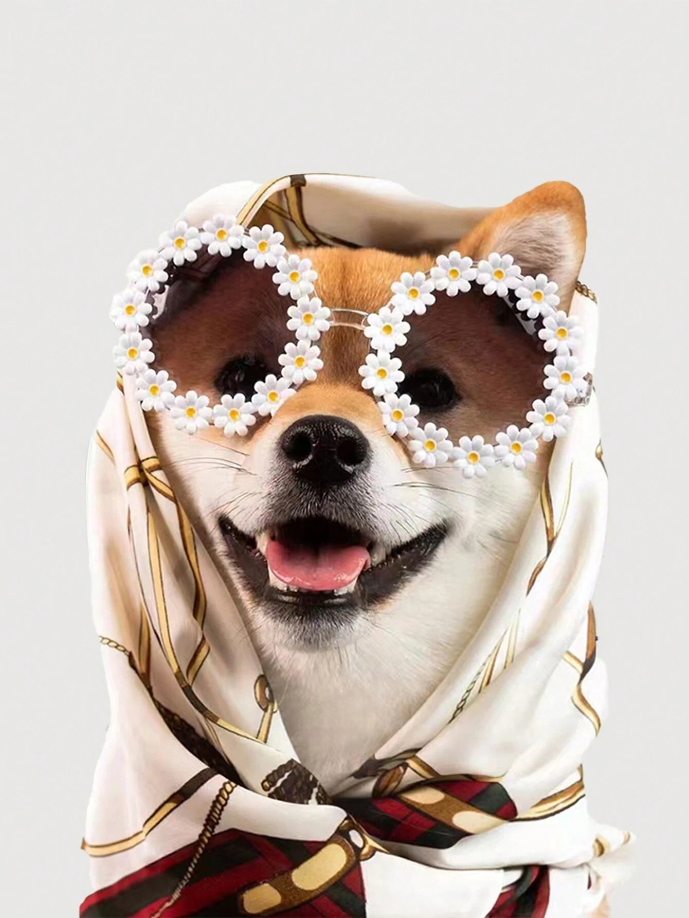 Pet Glasses Small Daisy Shaped Spring/Summer Party Fashion Eyewear Dog bag holder Dog car cover back seats Dog poop bag Mochila