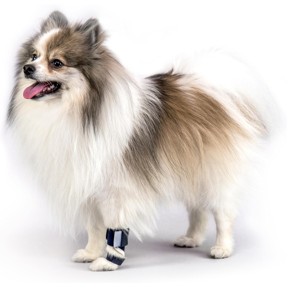 Splint Carpal Hyperextension Dog Brace ,Supports Fractures and Sprains, Front Leg Support (Small) Dog Ankle Splint Brace