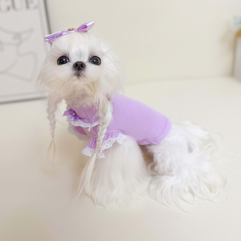2025 Spring Pet Dog Clothes Pure Cotton Simple Pink White Purple Hoodie For Small Medium Dog Fashion Casual Overalls Puppy Hoody
