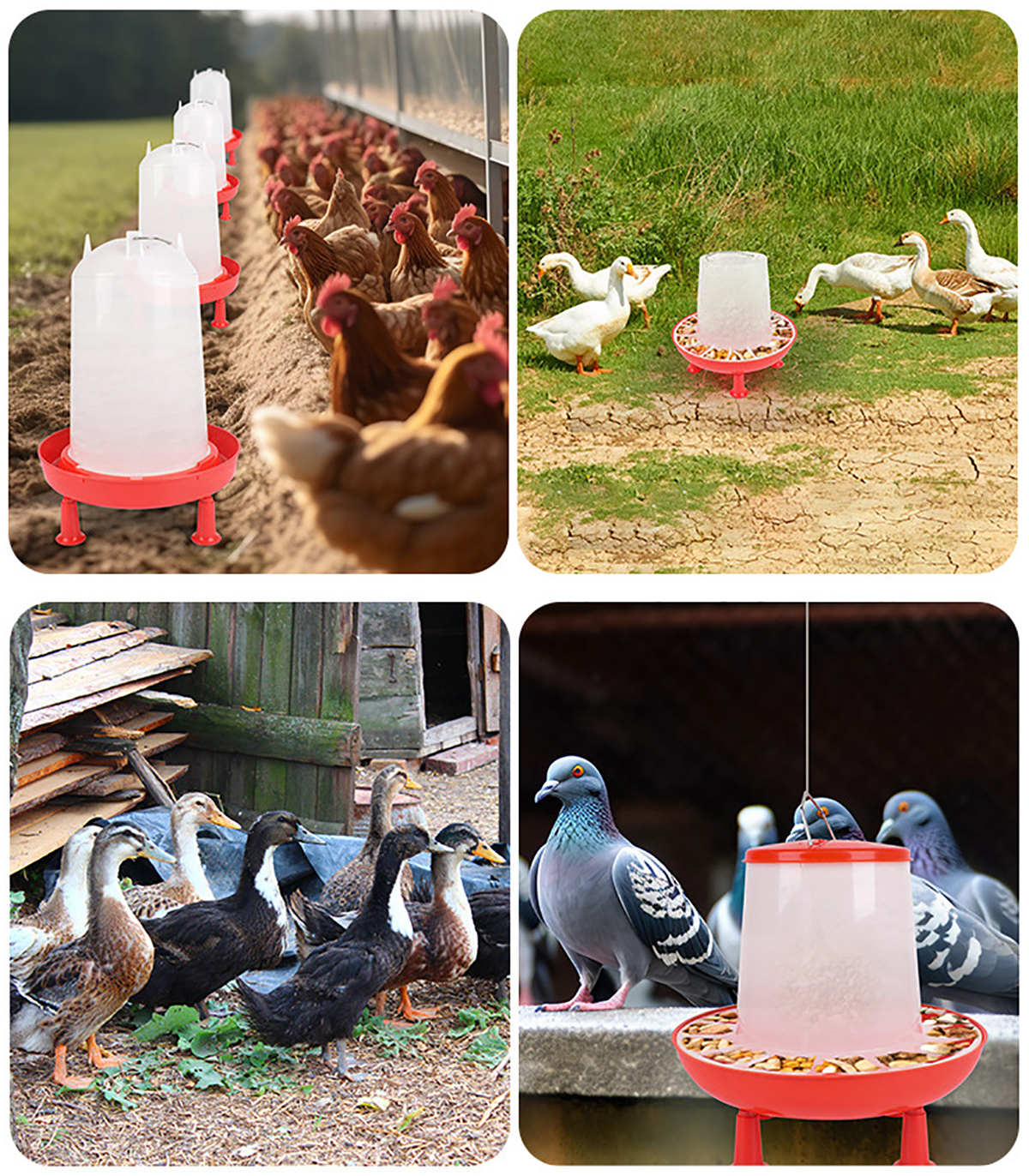 3L/1.5kg/3kg Poultry Drinking Feeding Bucket With Stander Feeder Drinker Chicken Coop Water Supply Quail Turkey Feeding Supplies