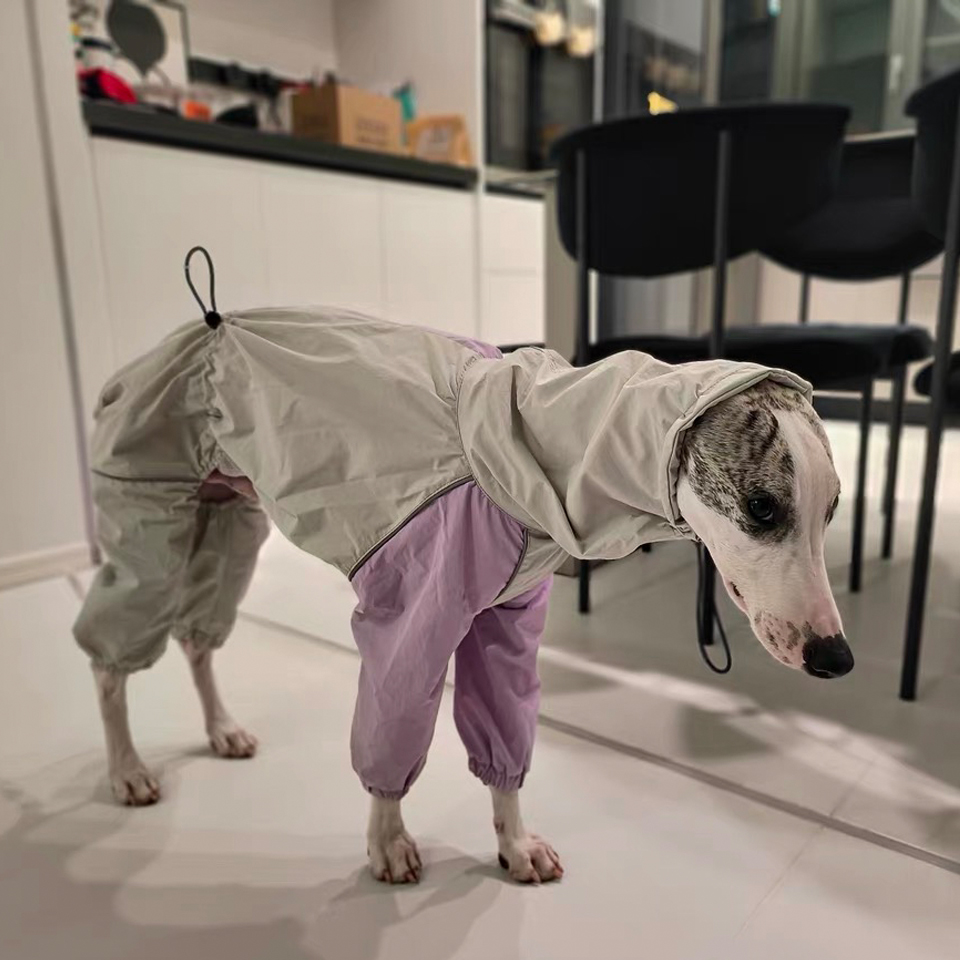 Luxury 4-legged Purple White Jacket for Whipbit Windproof Waterproof Soft RainCoat for Italy Greyhound Huibit Pet Dog Clothes