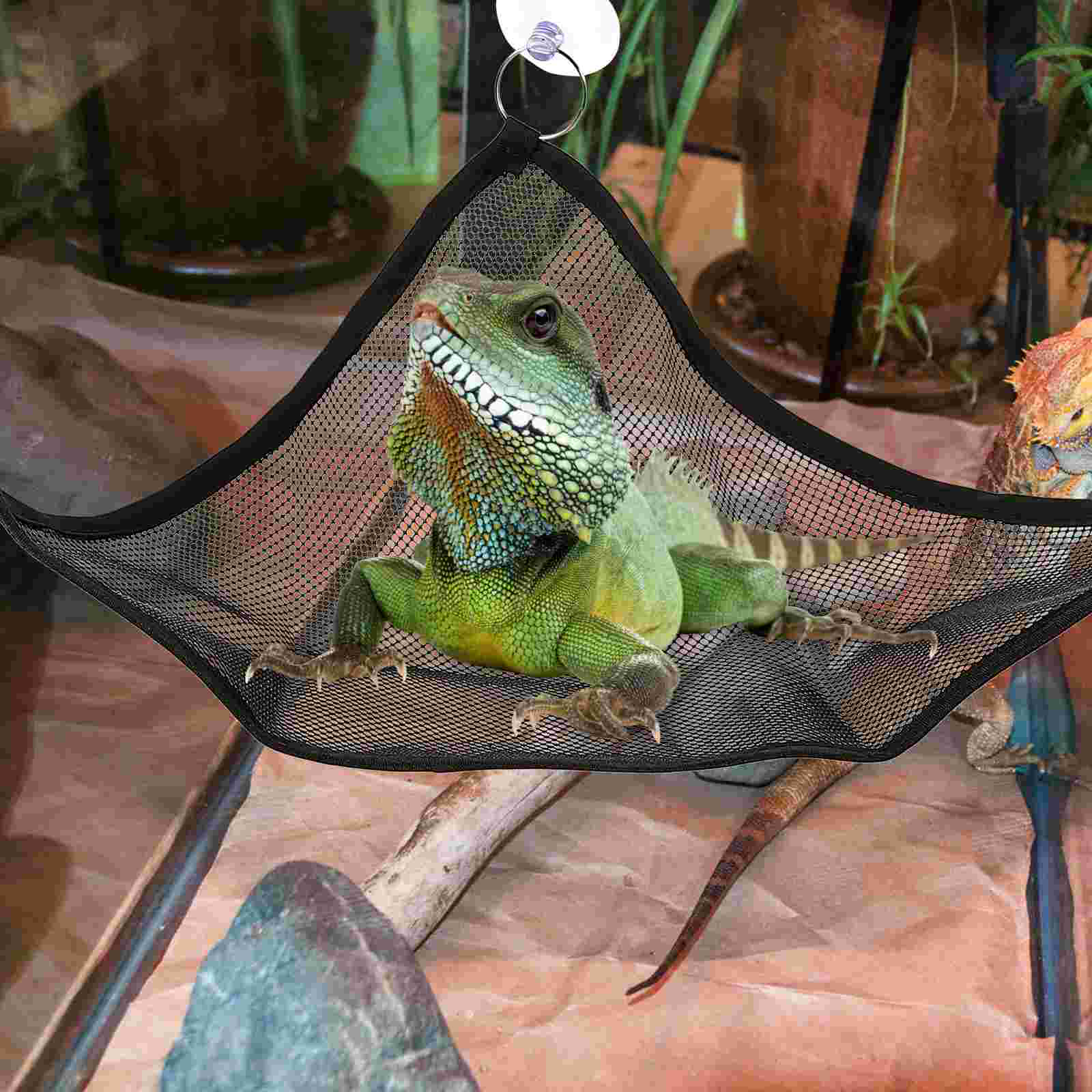 2 Pcs Crested Lizard Hammock Toy Leopard Gecko Glue Net Climbing Accessories Mesh