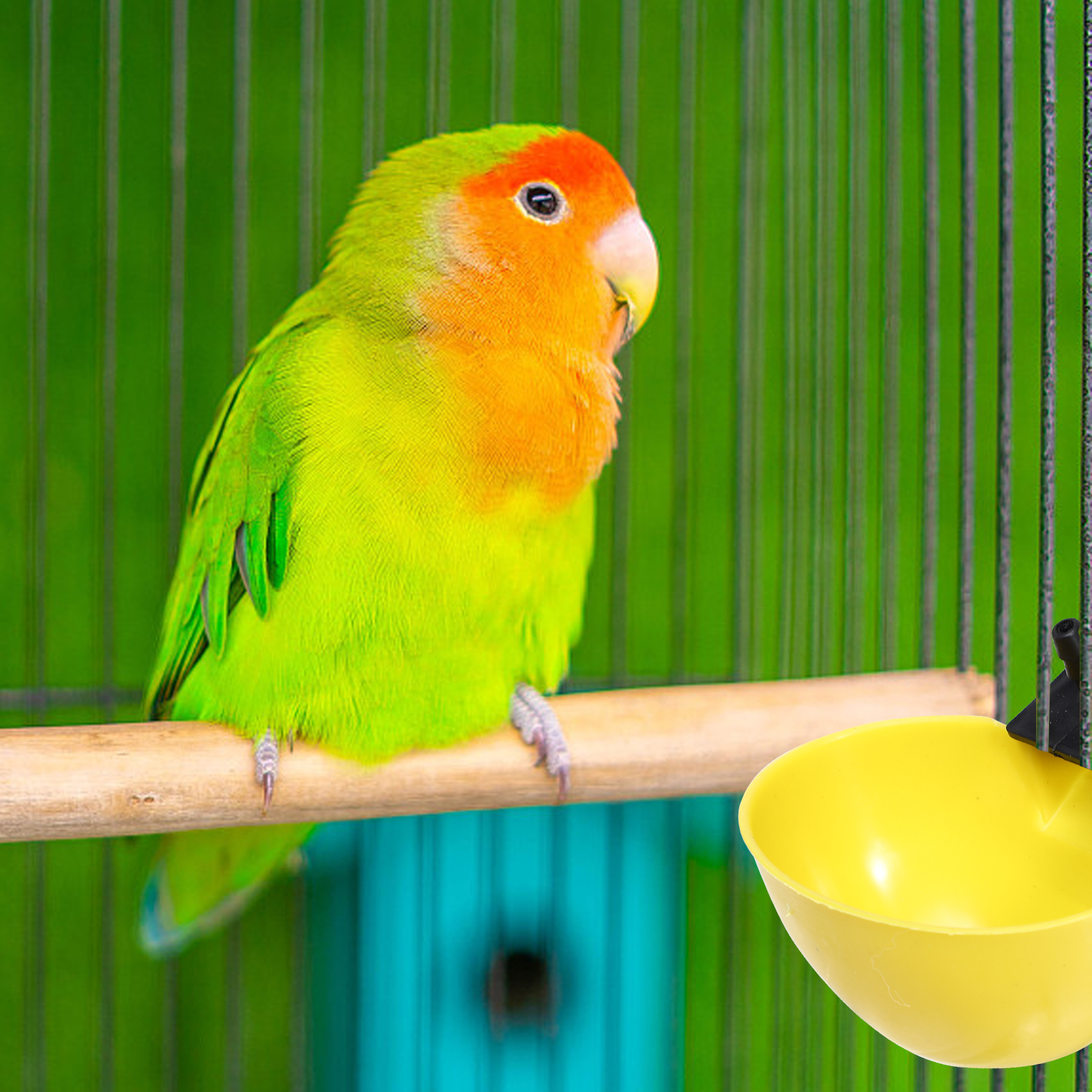 10 Pcs Bird Feeder Pigeon Chicken Drinking Fountain Supplies Self Drinker Water Bowl Accessories Feeders Yellow