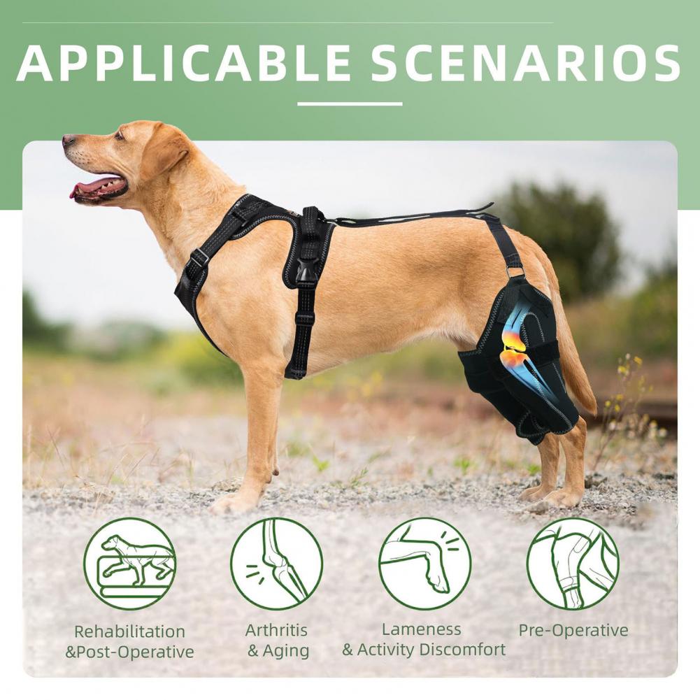 Dog Knee Brace for Acl Injury Dog Knee Brace for Back Leg Support Acl Luxating Patella Support for Dogs with Dysplasia Arthritis