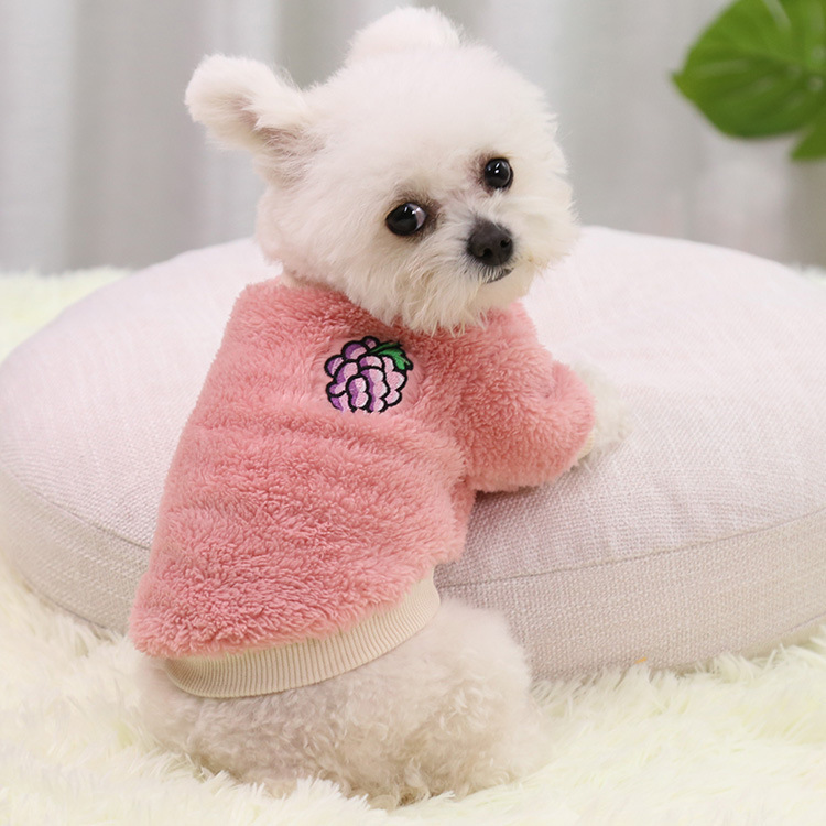 Comfy Two - Legged Pet Wear for All Seasons: Carnival - style Clothes for Small, Medium & Large - sized Dogs and Cats