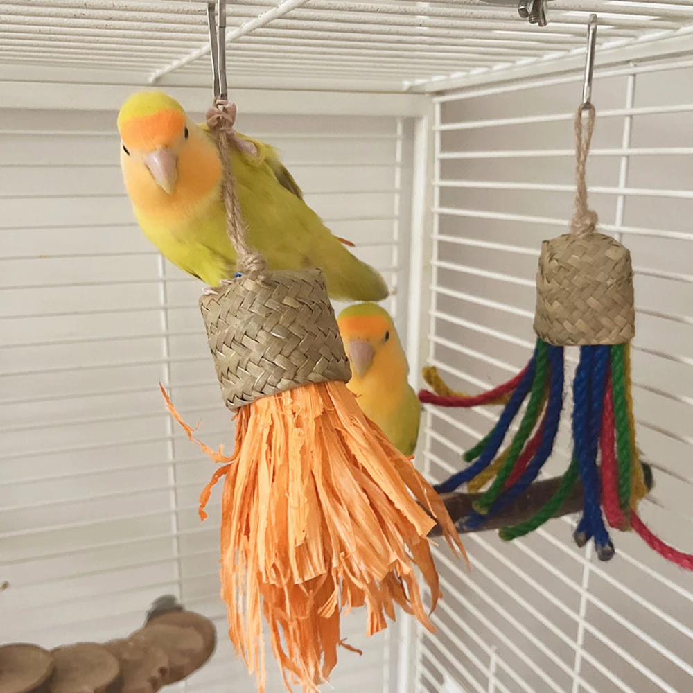 Eco-Friendly Multi-Colored Rattan Hangable Perch - Perfect Interactive Playtime Tool