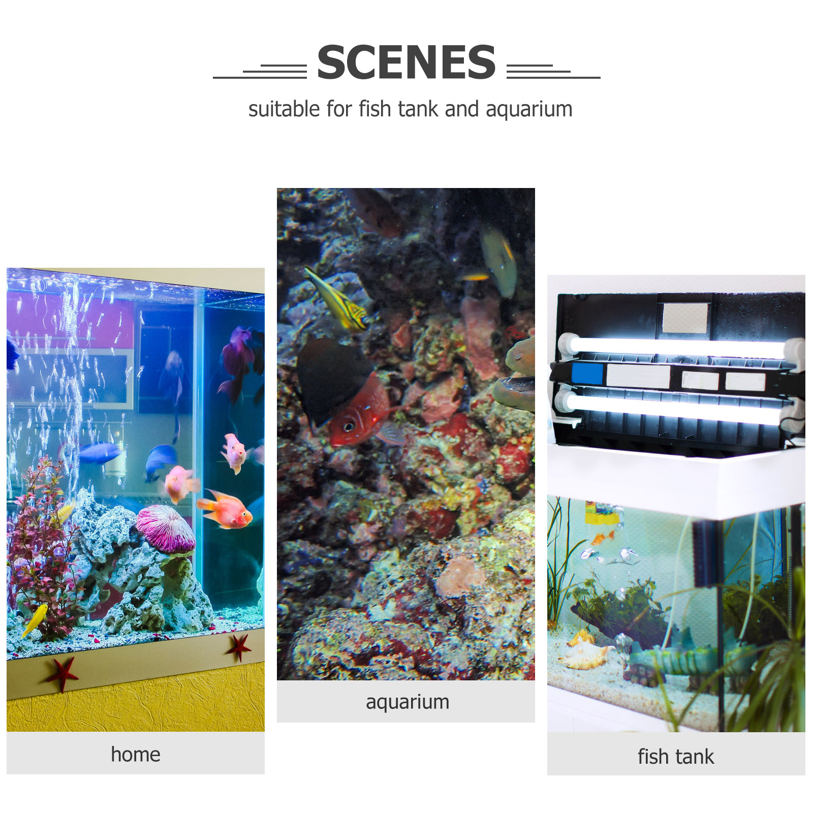 2 Pcs Fish Tank Degreasing Film Cleaner Acrylic Plastic Oil Remover Protein Skimmer Filter Aquarium Accessories Abs