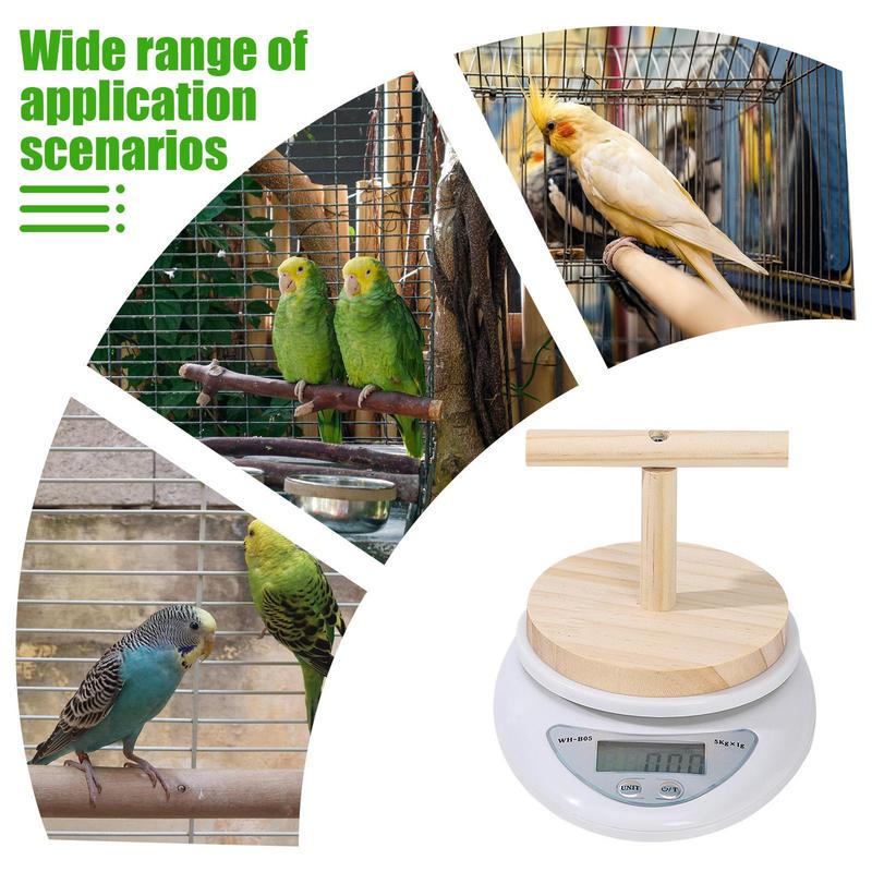 Bird Weight Scale Small Animal Scale With Perch For Pet Bird Convenient Weight Changing Monitoring Tool For Medication Milk