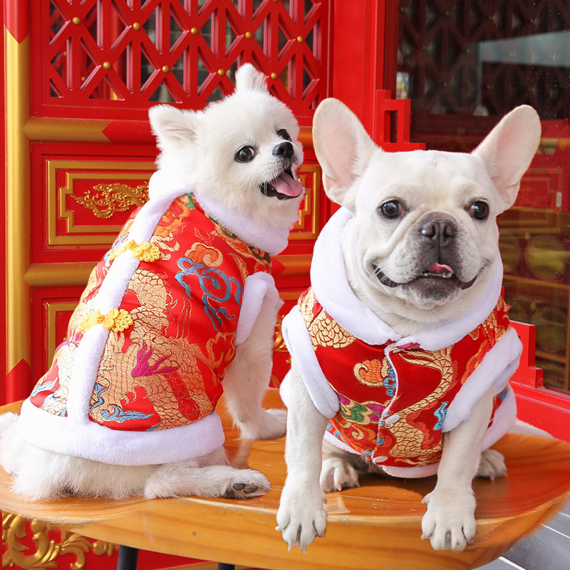 Halloween - themed Spooky Pet Costumes for Small, Medium & Large Dogs (like Pugs) and Cats - Perfect Autumn Supplies