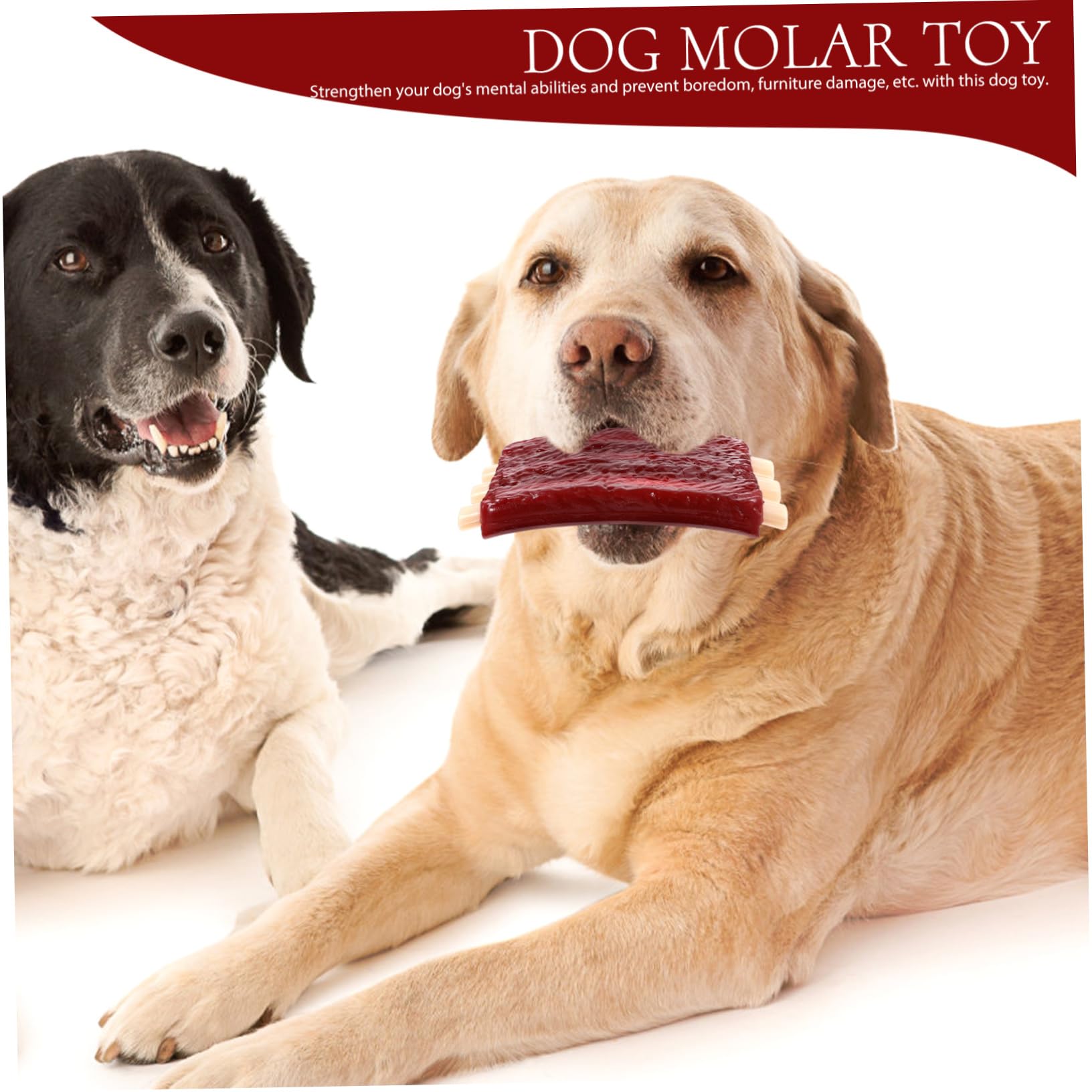 Dog Rib Toys Pet Teething Toys Ribs Chew Toys Cartoon Squeaky Dog Toys Dog Teething Chew Toys for Pet Dog Toys