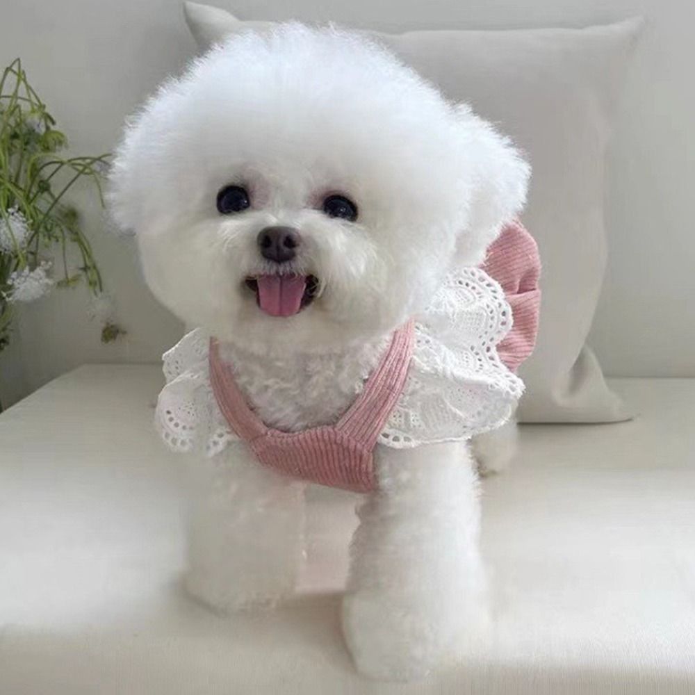 Practical Lovely Pet Clothing Lace Skirt Corduroy Dog Pumpkin Skirt Washable 4 Size Puppy Dresses Dress Up Accessories