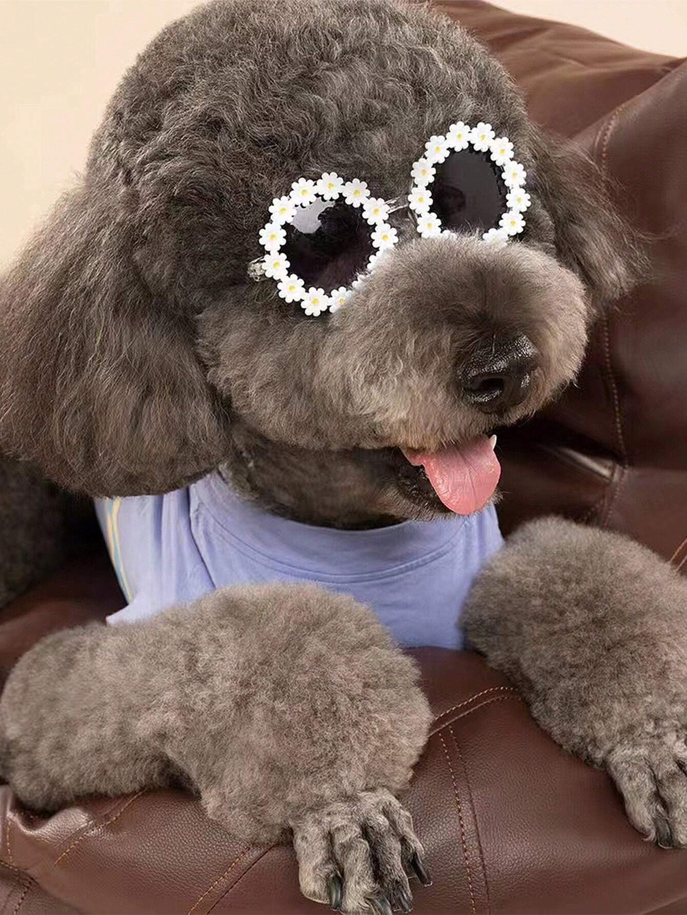 Pet Glasses Small Daisy Shaped Spring/Summer Party Fashion Eyewear Dog bag holder Dog car cover back seats Dog poop bag Mochila