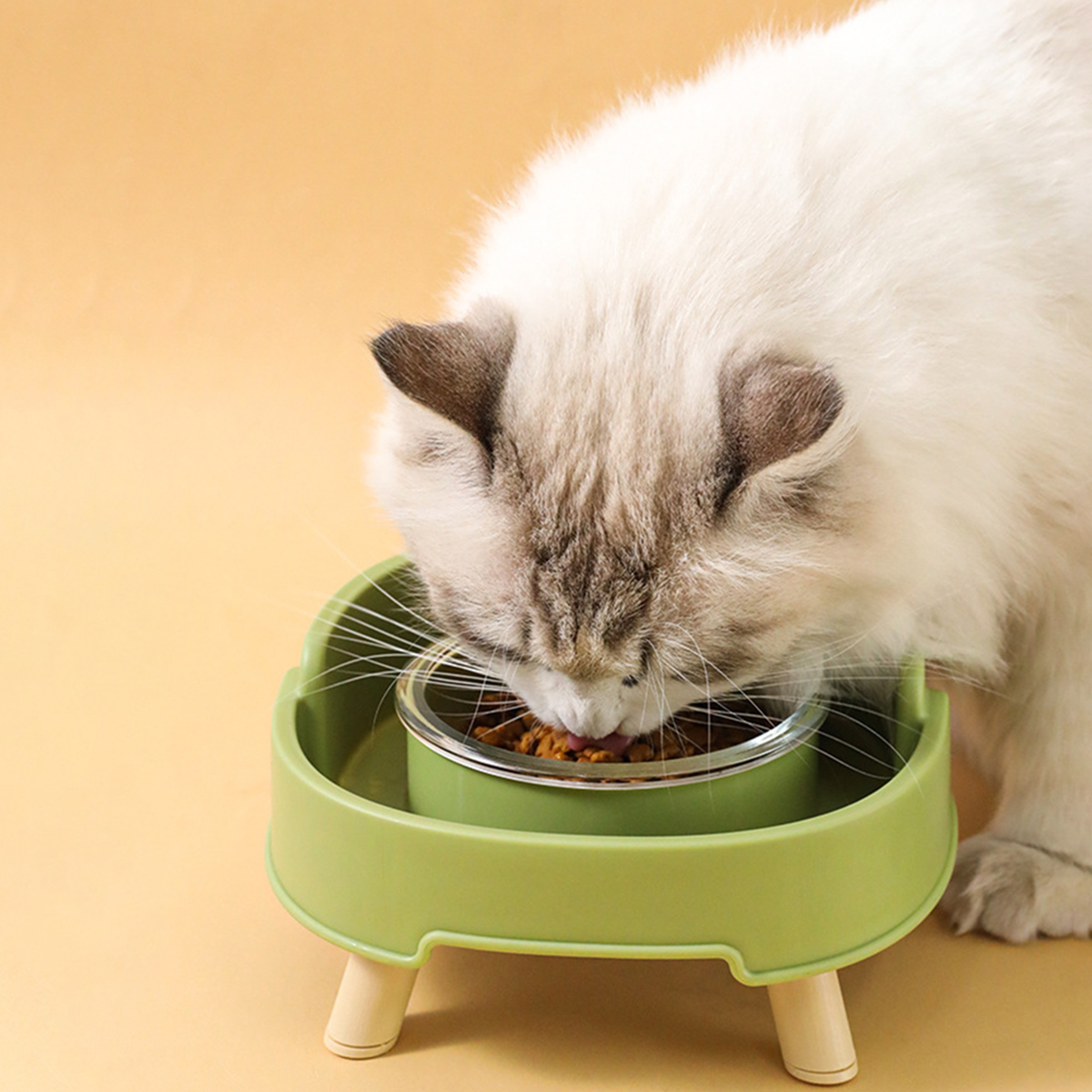 High-Footed Leak-Proof Pet Bowl - PP+Glass, Anti-Spill, Spine Protection, for Cats & Dogs