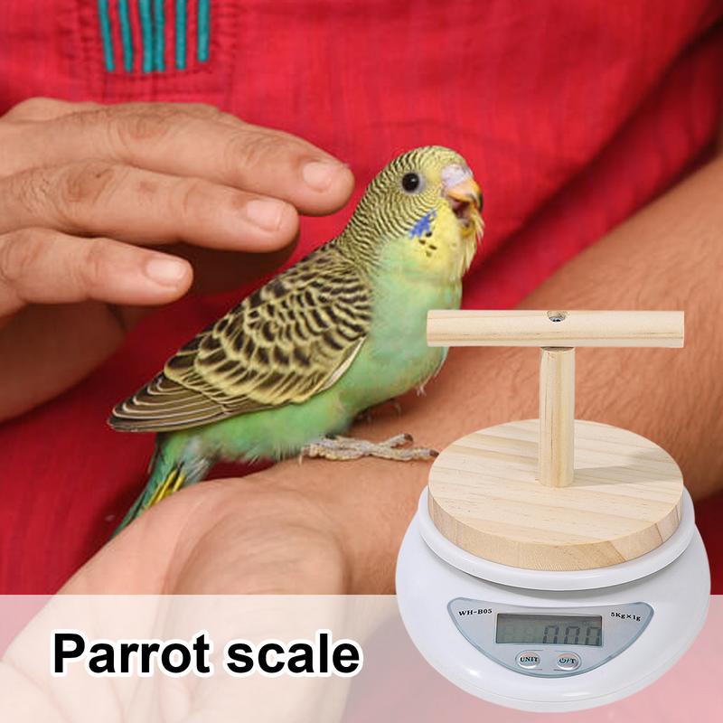 Digital Bird Scale Parrot Training Bird Small Animal Scale With Perch High Accuracy Convenient Digital Weighing Tool For Weight