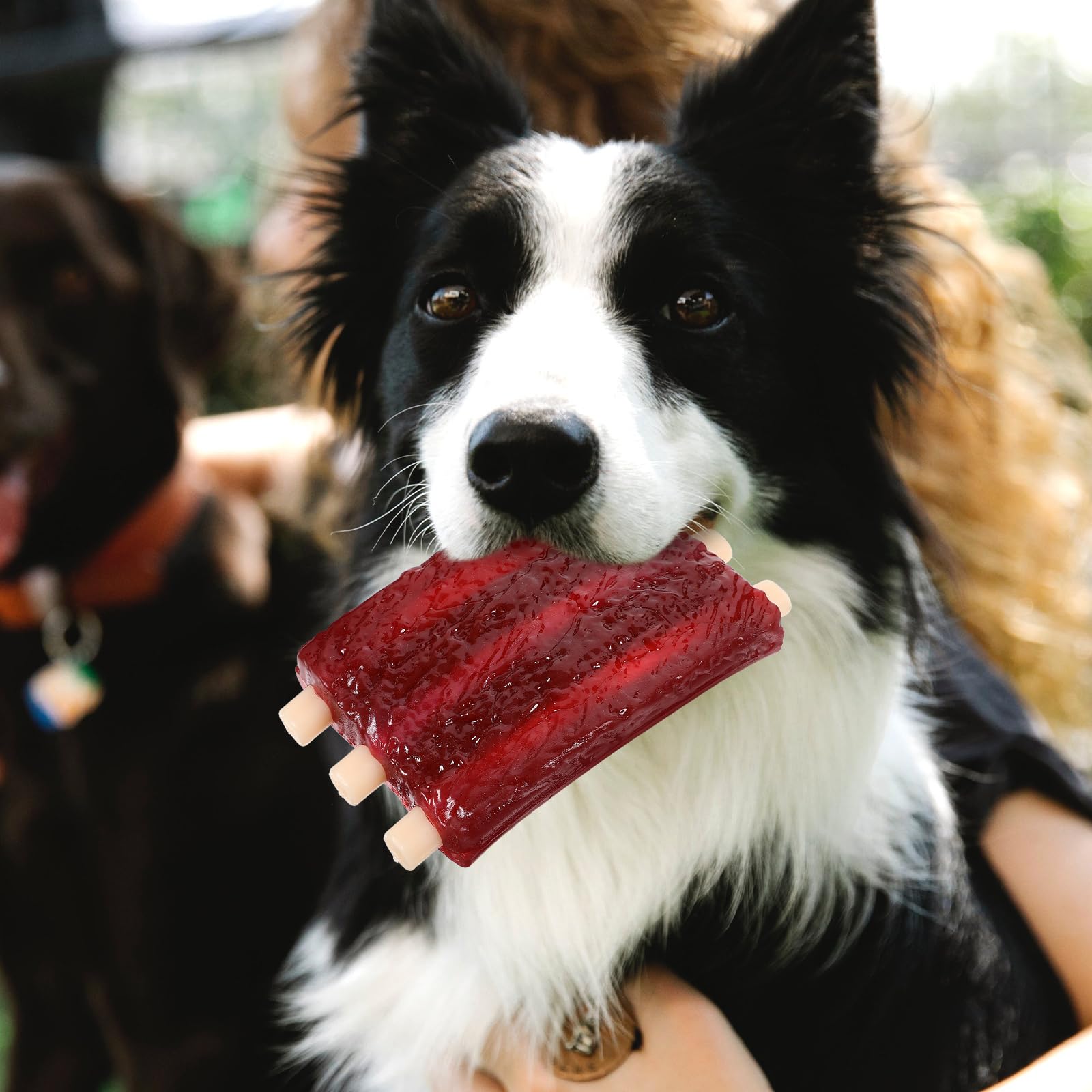 Dog Rib Toys Pet Teething Toys Ribs Chew Toys Cartoon Squeaky Dog Toys Dog Teething Chew Toys for Pet Dog Toys