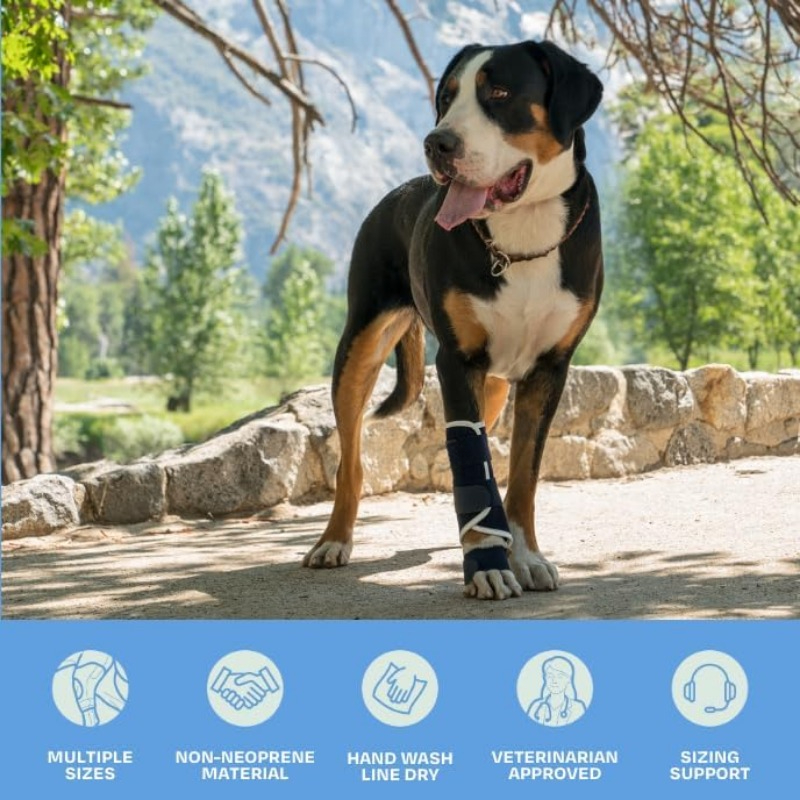 Splint Carpal Hyperextension Dog Brace ,Supports Fractures and Sprains, Front Leg Support (Small) Dog Ankle Splint Brace