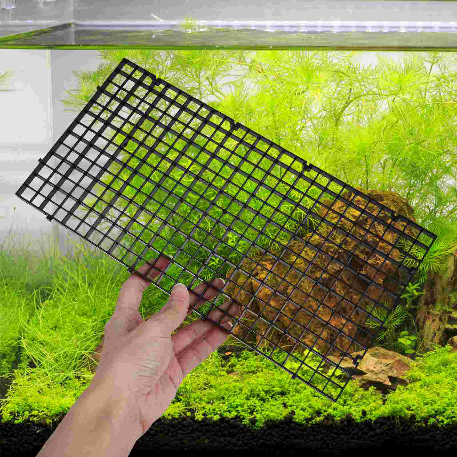 Fish Tank Partition Set Aquarium Divider Separator Tweezers Supplies Water Case Splitter Baby