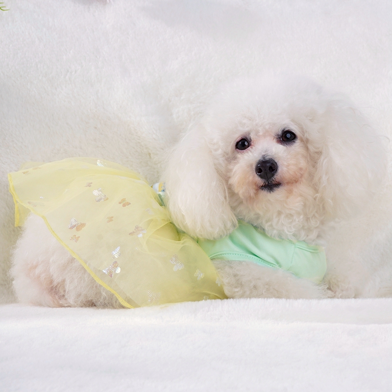 Easter Spring/Summer Breathable and Comfortable Dog Dress Skirt for Small to Medium Dogs Skirts Cat Dresses Chihuahua Poodle