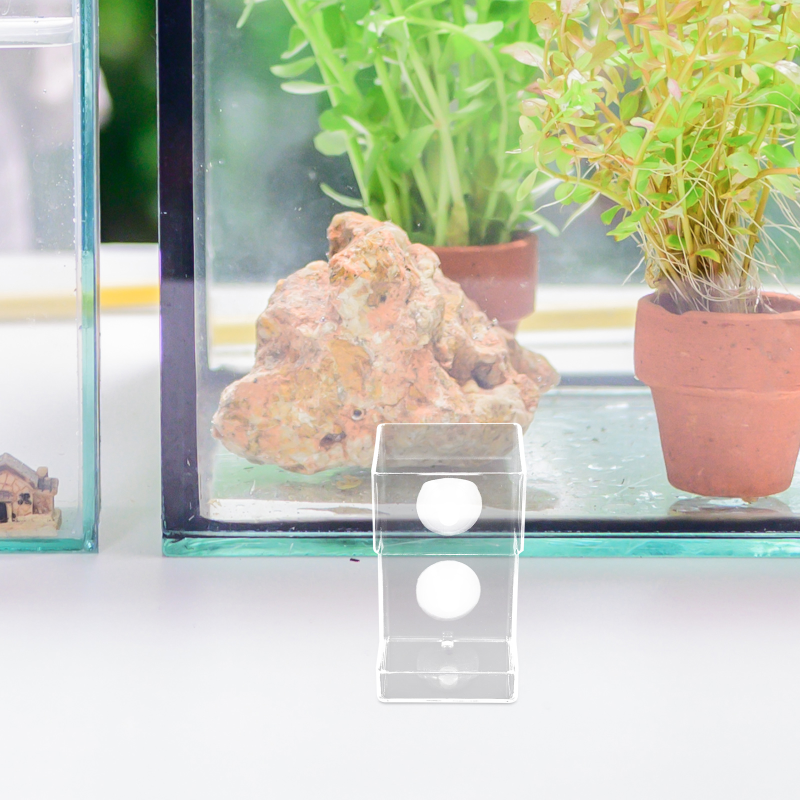 Fish Tank Feeder Feeding Dish Aquarium Food Holder Floating Shrimp Equipment Automatic