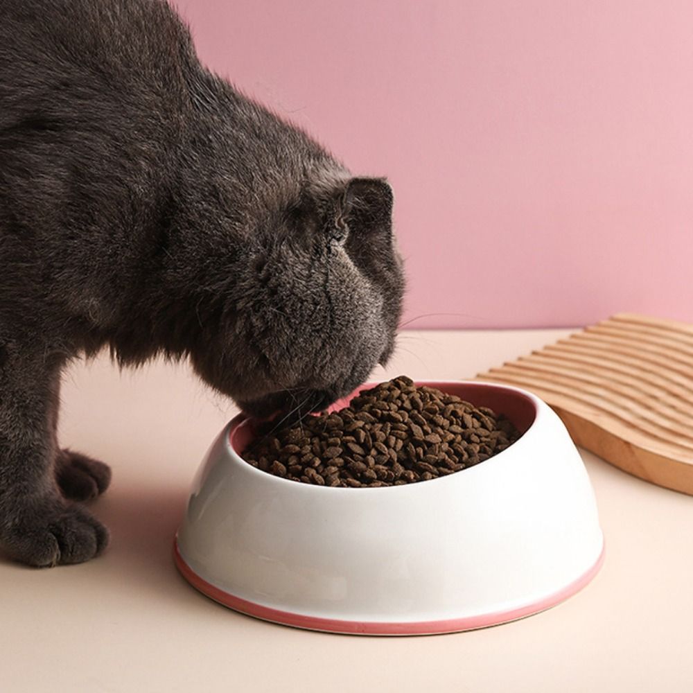 Pet Supplies Ceramics Pet Cat Food Bowl Strawberry Colorful Dog Food Bowl Cute Watermelon Water Bowl For Pet Dog Cat