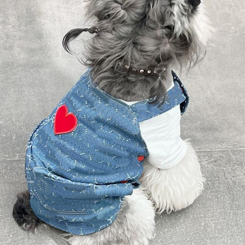 Designer Sweater Hoodies Dog Strap pants love Apparel Clothing Hooded Letter Printing Pullover Pets Supplies Warm Pet Sweatshirt Cold Weather Free shi