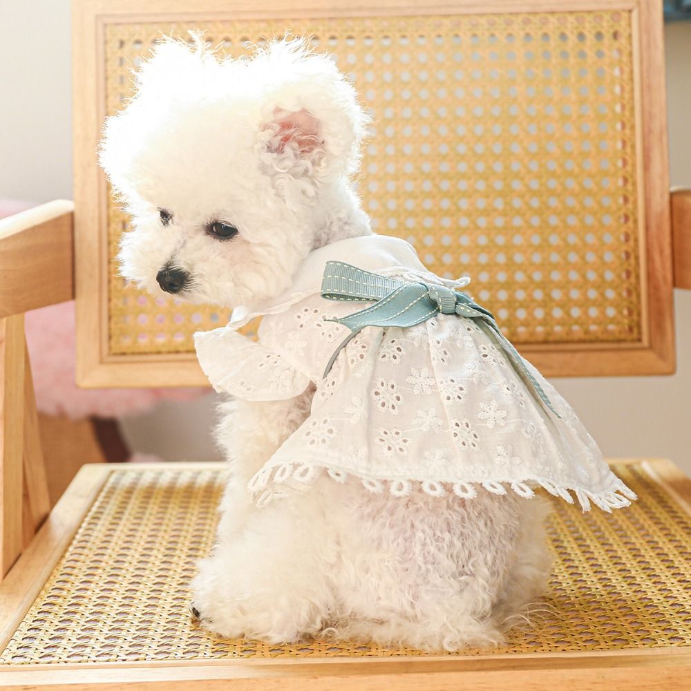 Bichon Frise White Spring Cat Dog Dress Hollow Out Soft Puppy Skirt Skin-friendly Pet Skirt Spring/summer