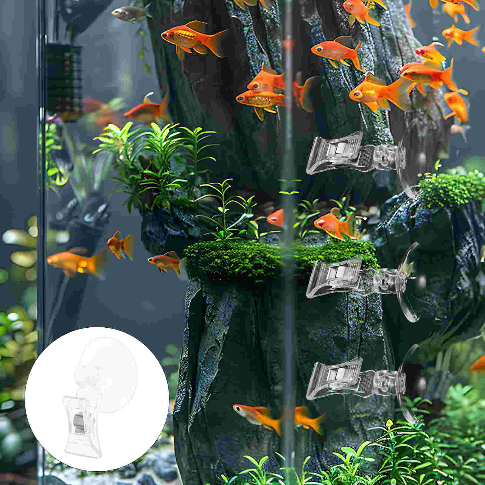 3 Pcs Feed Clip Automatic Feeder Fish Accessories for Aquarium Supplies Tank Holder Suction Cup Seaweed Feeding Tool Detergent