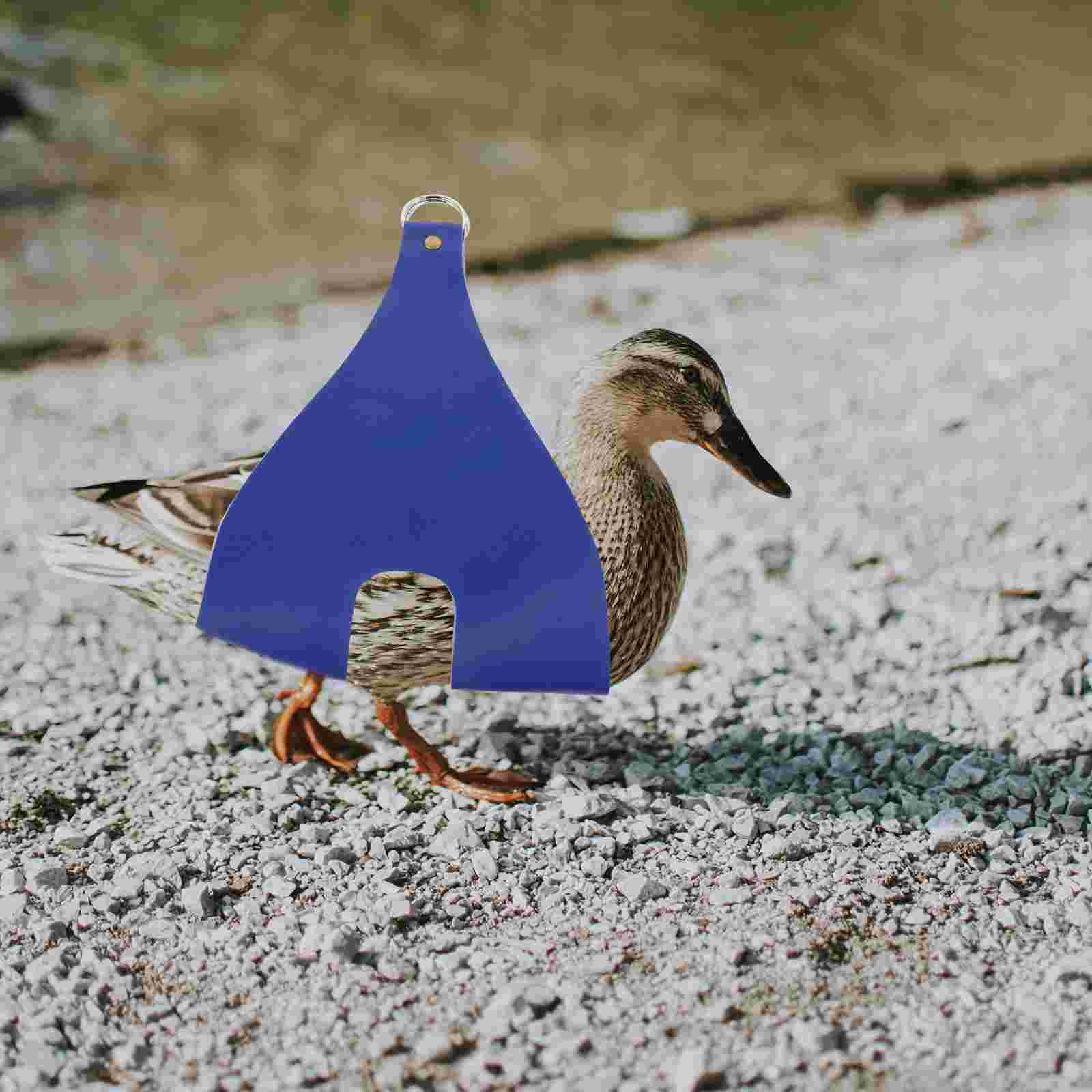 Pet Weighing Bag Chicken Carrier for Weight Scale Holder Sling Carry Supplies Pu Catcher with Handle Hen