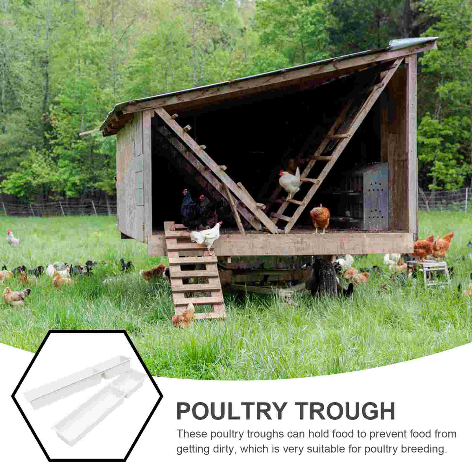 2 Pcs Cage Tray Pigeon Feeder Chicken Chickens Ducks Containers for Food Poultry Troughs Feeding Feeders Anti-spatter Manger