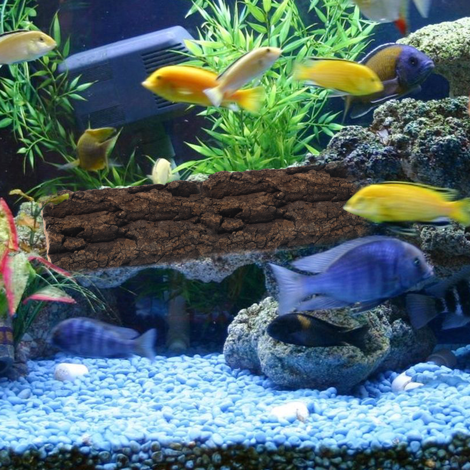 3 Pcs Fish Tank Landscaping Cork Reptile Decor Plant Terrarium Glass Desktop Aquarium Natural Bark Background Accessories