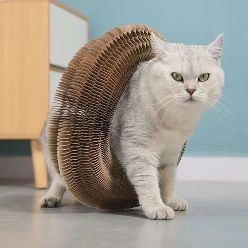 Magic Cat Toy Interactive Cats Ball Toys Kitten Game Training Stuff Fun Multiple Shapes Corrugated Paper Cat House Pet Supplies 250304