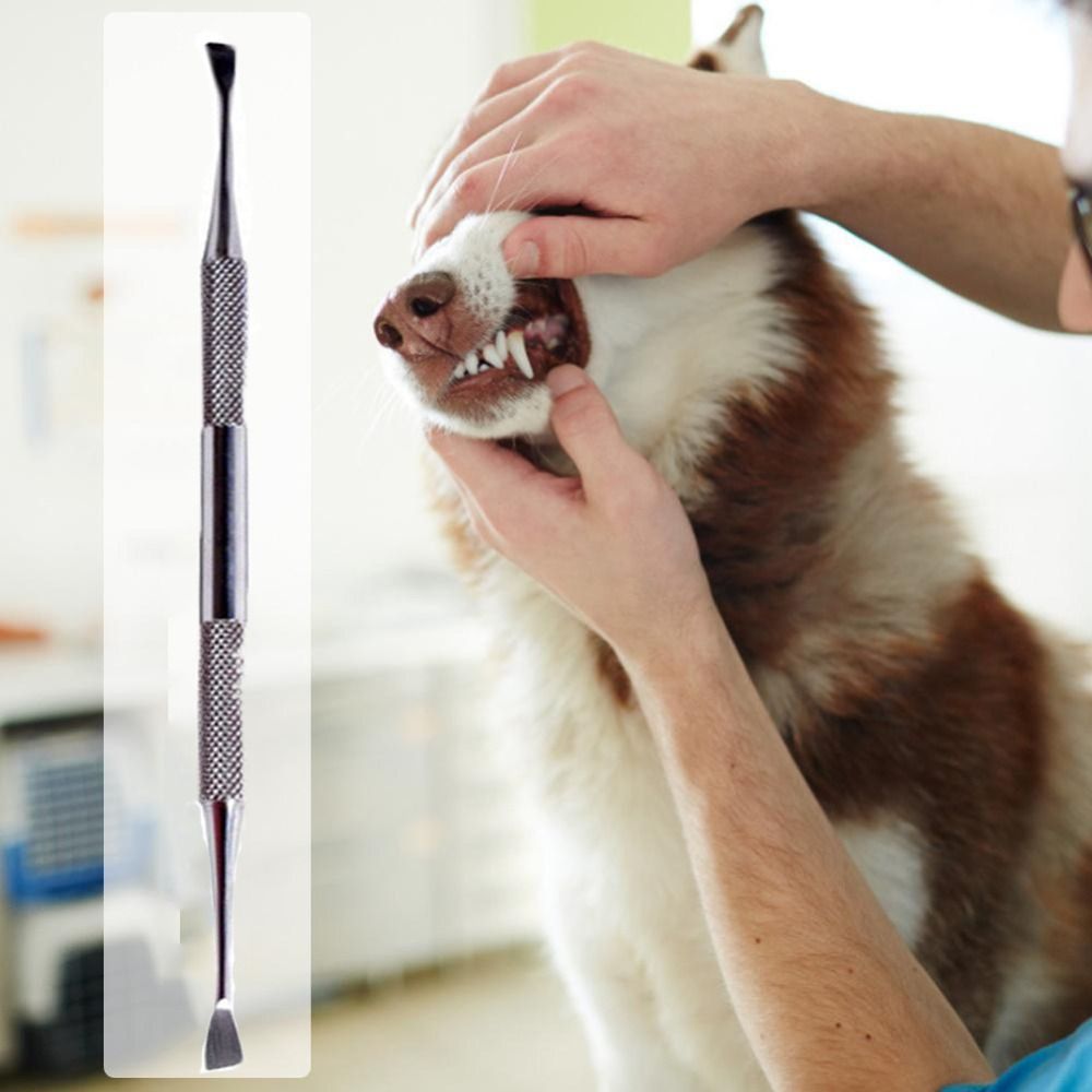Stainless Steel Dog Teeth Cleaning Tool Non-slip Handle Double Head Tartar Scraper Scaler Anti-rust Pet Toothbrush