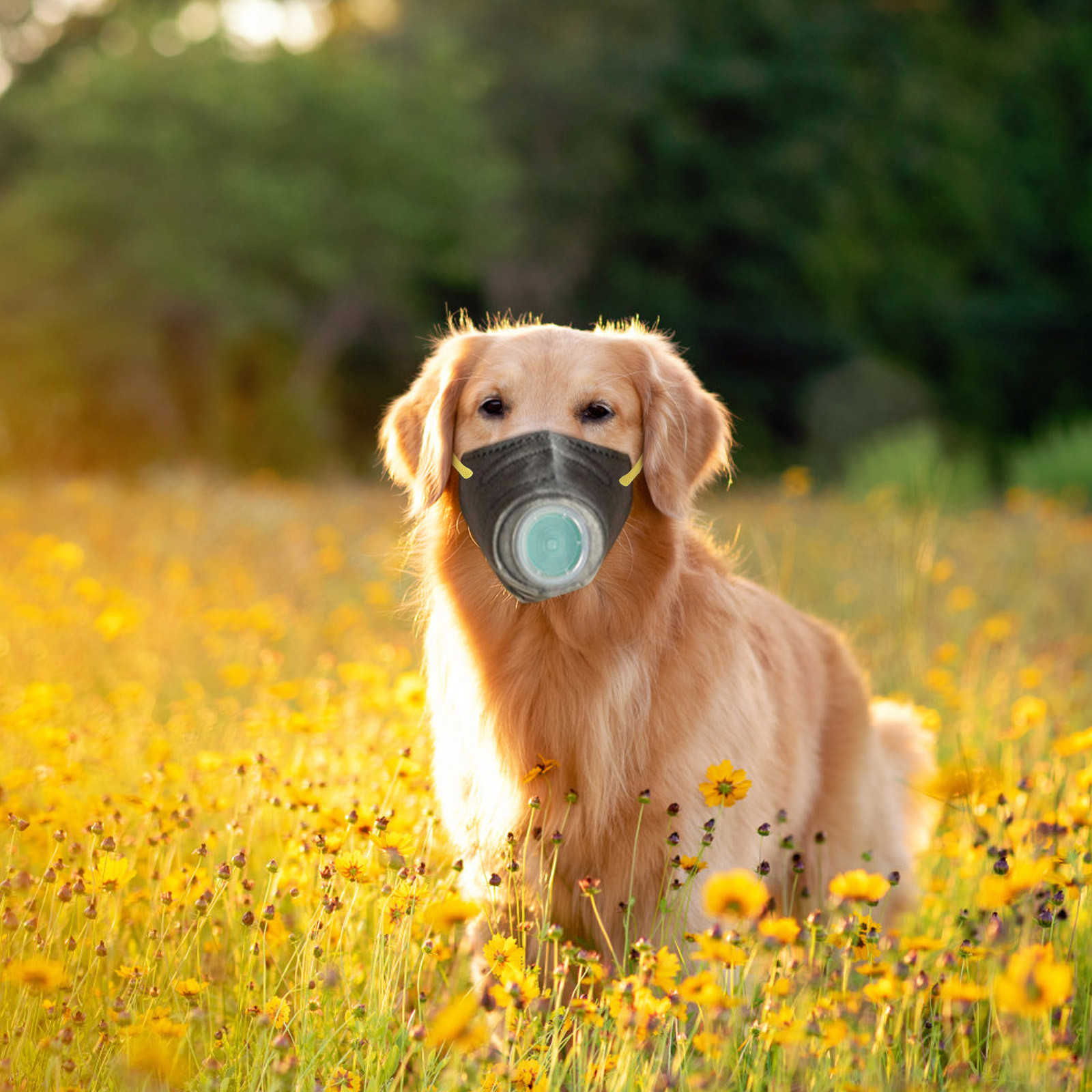 Dog Filter Muzzle For Filter Pollutants,Reusable Breathable Protective Muzzle Dog Mask,Adjustable Dog Respirator Muzzle,