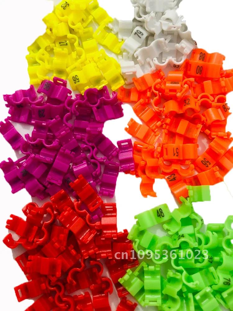 60 Pcs Inner 2.7/ 3/4/4.5/5mm Canary Clip Ring Bird Pigeon Leg Rings Small Foot ring Mix Rings Parrot Color bird Birds