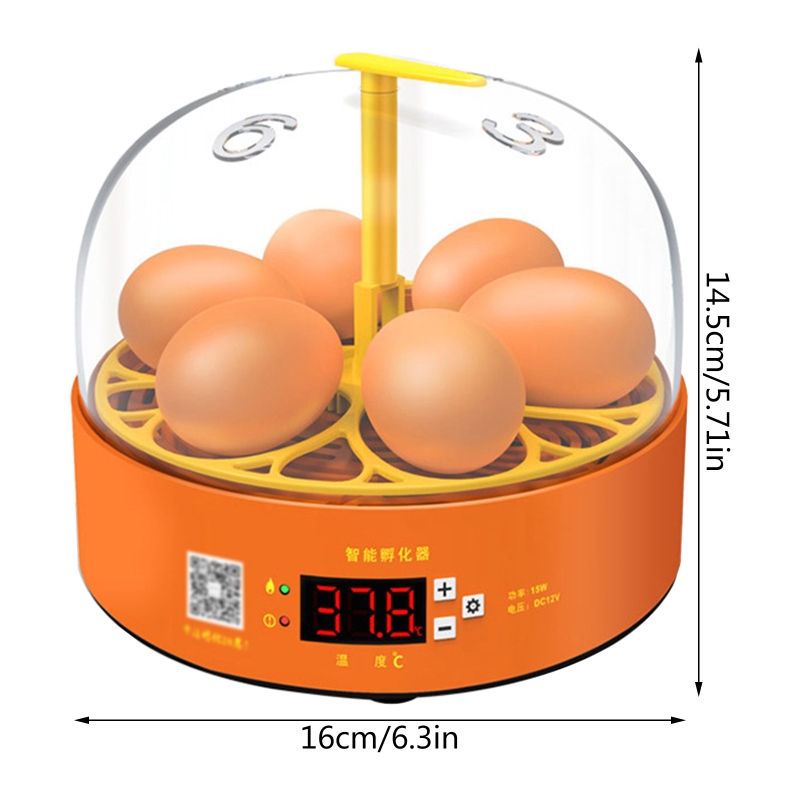 Intelligent Egg Incubator 6 Eggs Hatching Incubator Duck Quail Egg Incubators with Fully Automatic Egg Turning for Chick