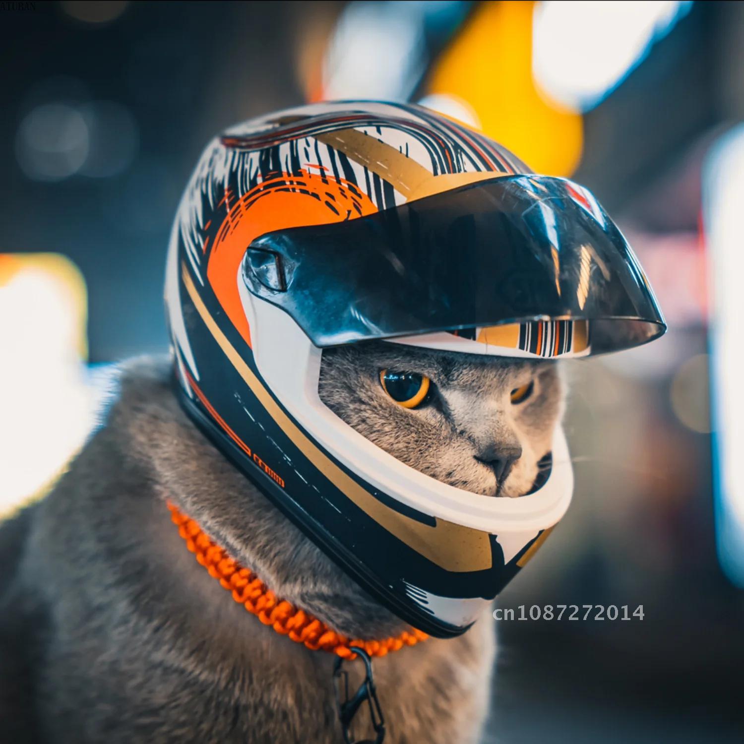 DIY Pet Motorcycle Helmet,Dog Helmet-Outdoor Mini Head Protecting Helmets,Cat Photo Accessorie,Mini Props Hat,Pet Safe Helmet