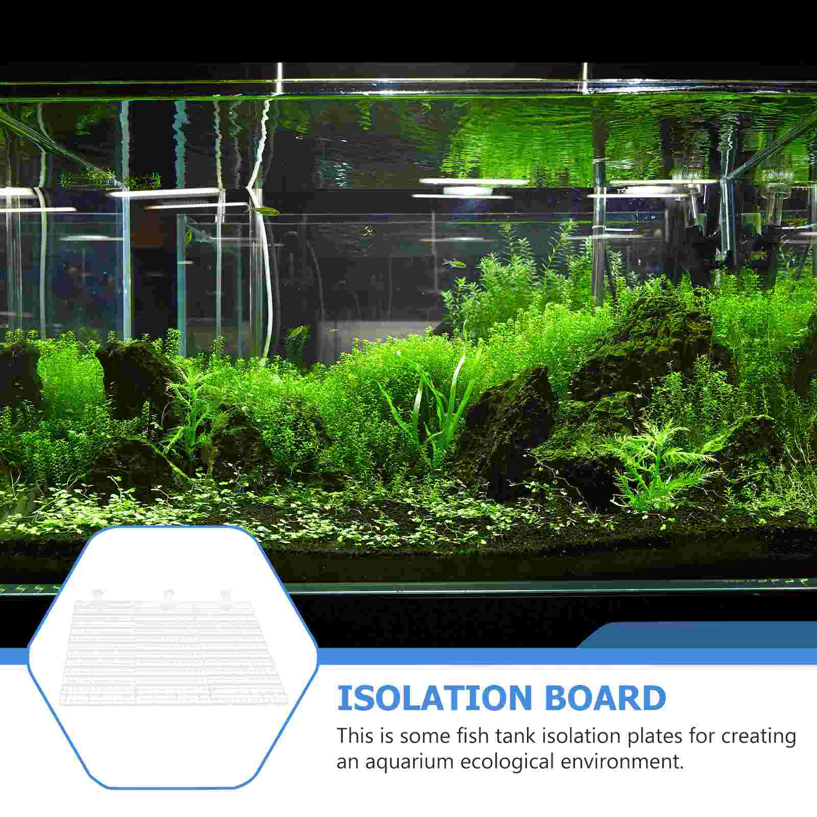Fish Tank Isolation Board Supplies Aquarium Divider Mesh Breeding Sucker Separator