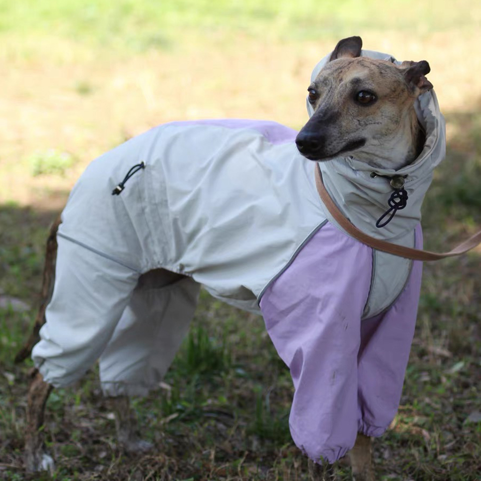 Luxury 4-legged Purple White Jacket for Whipbit Windproof Waterproof Soft RainCoat for Italy Greyhound Huibit Pet Dog Clothes