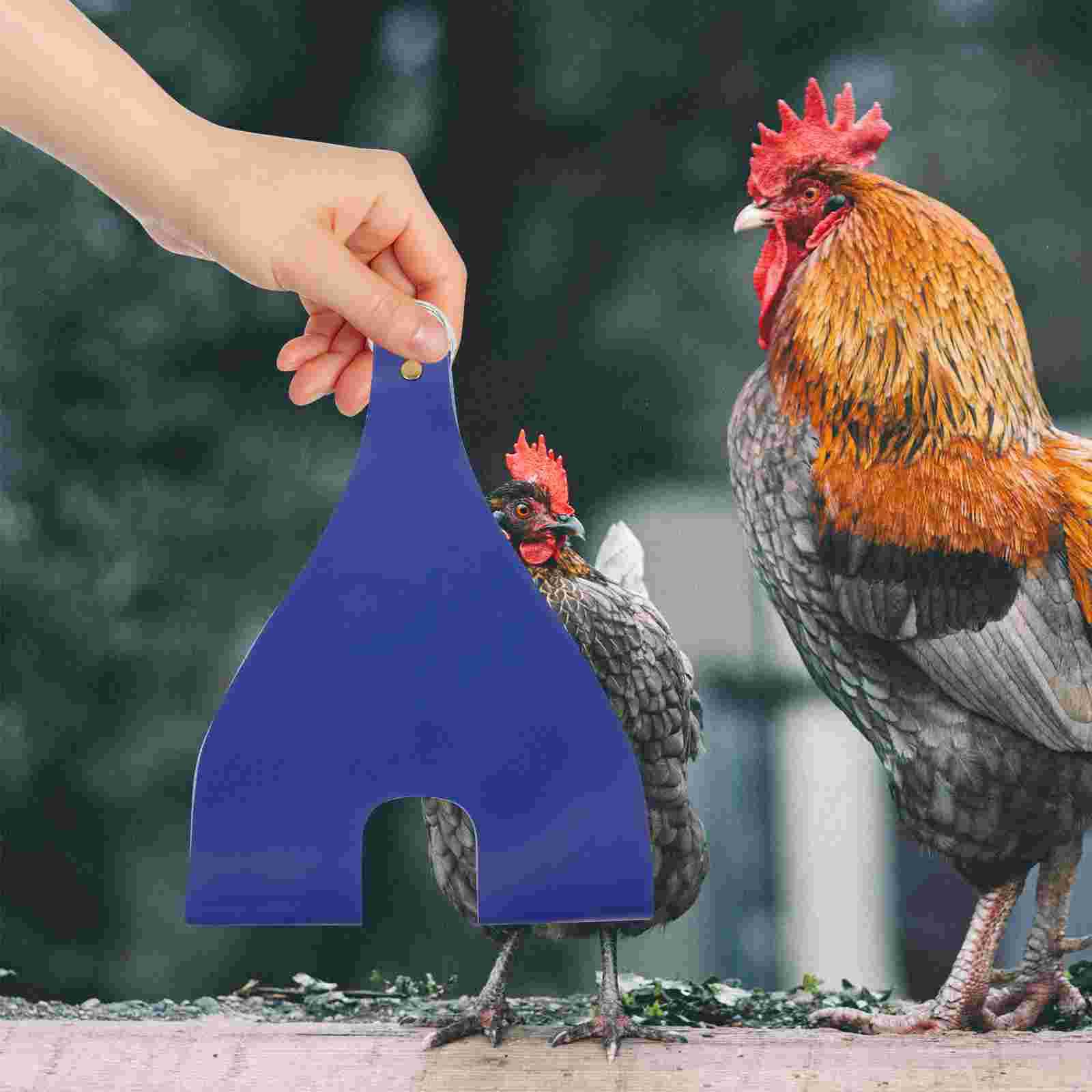 Pet Weighing Bag Hen Sling Chicken Carrier Supplies Rack with Handle Pu Catcher Carry Poultry