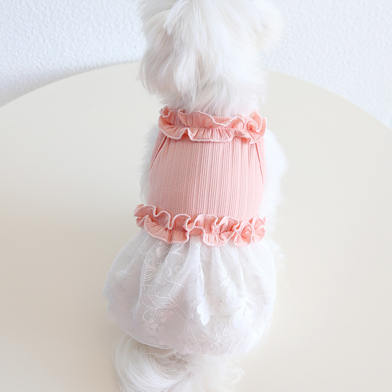 Floral Edge Dresses For Chihuahua Breed Dog Lace Female Pet Cat Wedding Party Luxury Dresses Pink Bue Summer Spring Vest Outfit