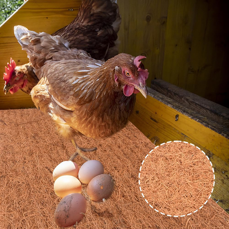 Natural Coconut Fiber Chicken Nesting Box Liners Coop Bedding Mats for Hen House Poultry Supplies for Laying Eggs for Birds