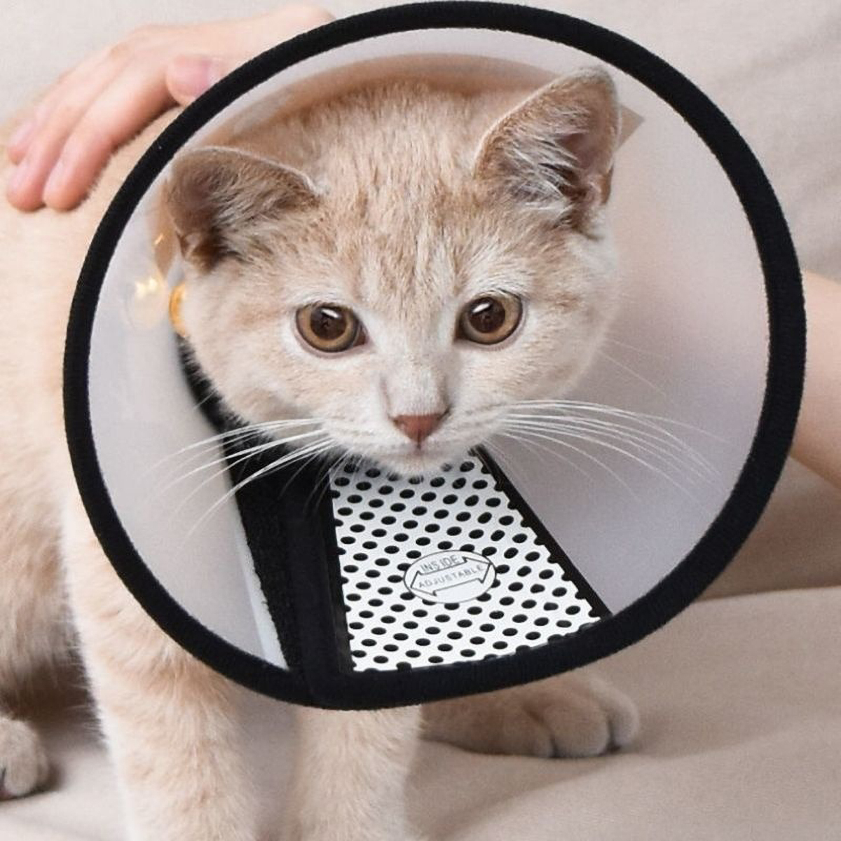8SIZE Elizabeth Collar Dog Cone Collar E Collar Cat Cone Dog Collar Pet Head Cover Kolar Kucing Koler Leher Kucing