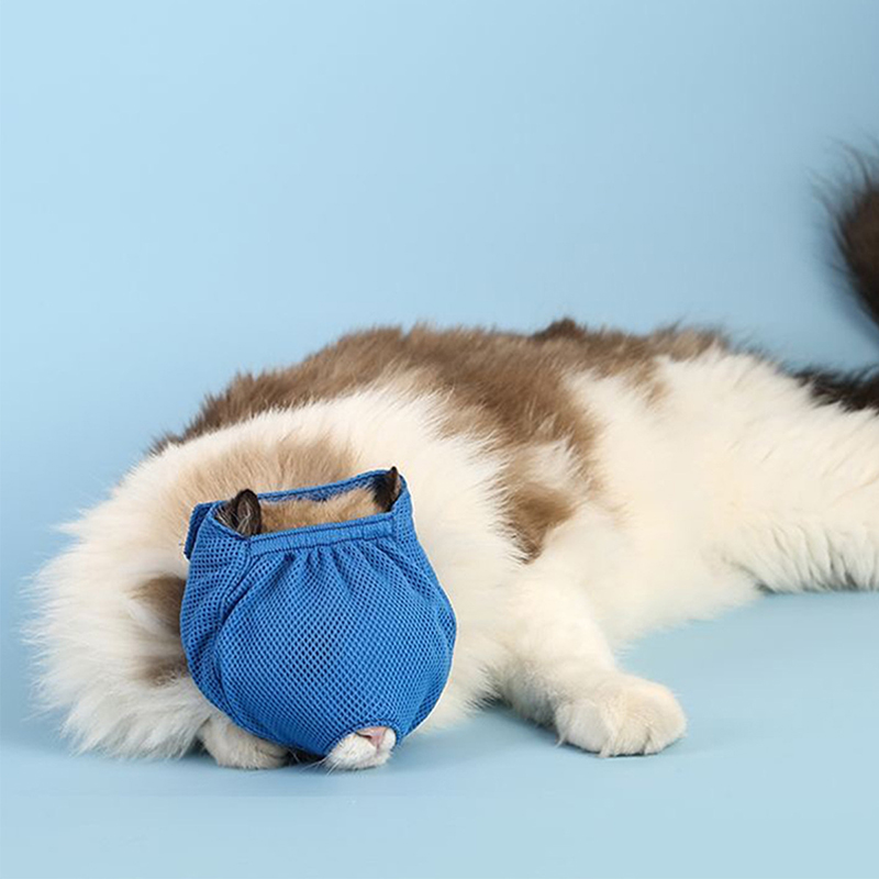 Pet Cat Anti Bite Muzzle Mask Breathable Dog Cat Beauty Muzzles Mask Multifunctional Anti Bite Chewing Mask Pet Supplies